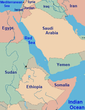 Location Red Sea Coral Reef